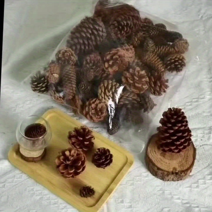 Conjunto Decorativo de Pinhas Natalinas – 50 Peças - Zafer Decor