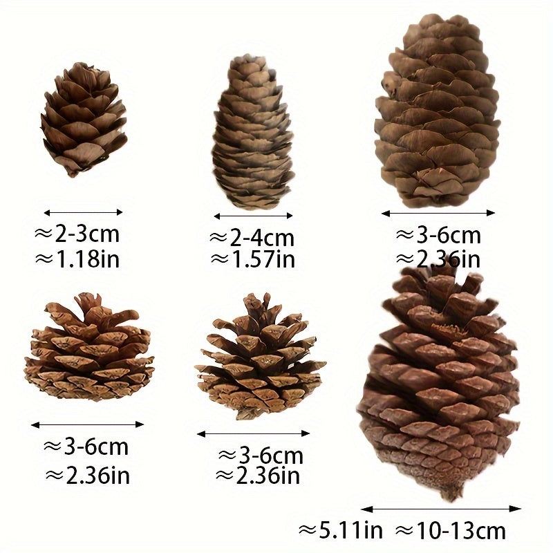 Conjunto Decorativo de Pinhas Natalinas – 50 Peças - Zafer Decor